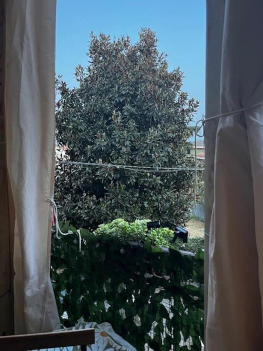 Appartamento Treviglio-Centro Buitenkant foto